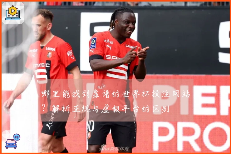 哪里能找到靠谱的世界杯投注网站？解析正规与虚假平台的区别