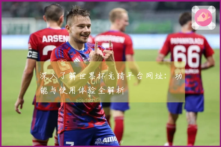 深入了解世界杯竞猜平台网址：功能与使用体验全解析