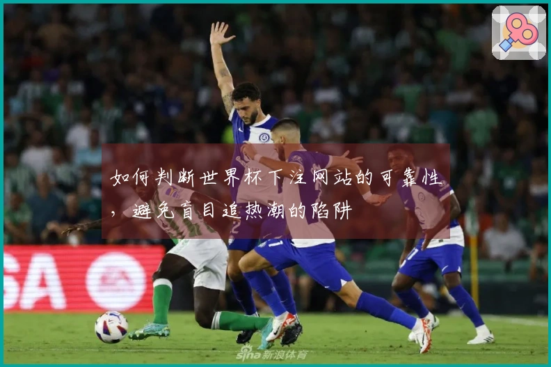 如何判断世界杯下注网站的可靠性，避免盲目追热潮的陷阱