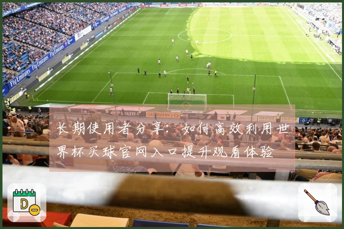 长期使用者分享：如何高效利用世界杯买球官网入口提升观看体验
