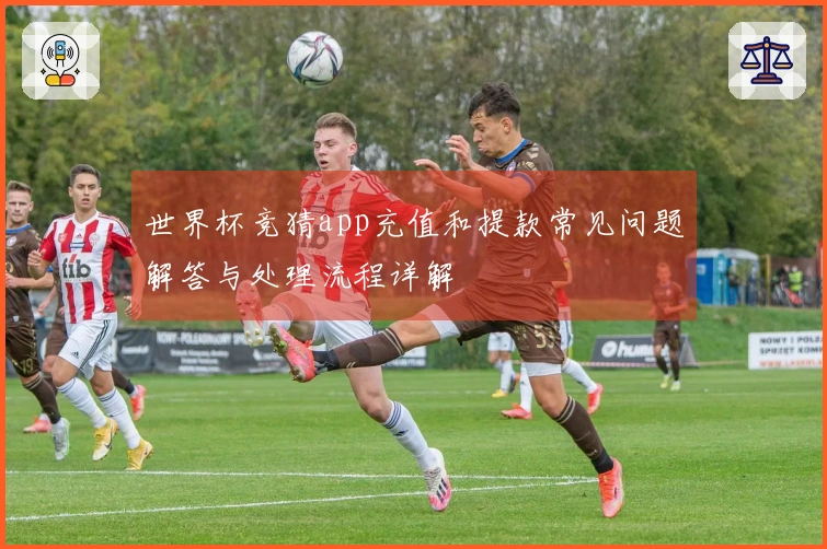 世界杯竞猜app充值和提款常见问题解答与处理流程详解