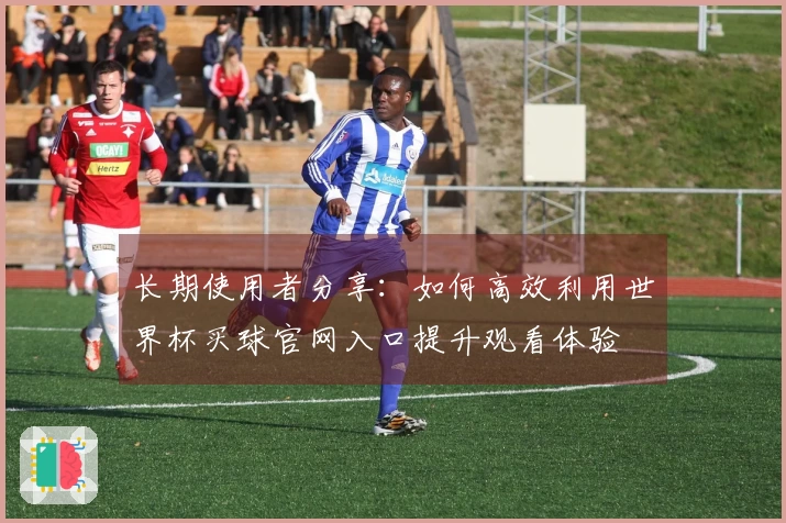 长期使用者分享:如何高效利用世界杯买球官网入口提升观看体验