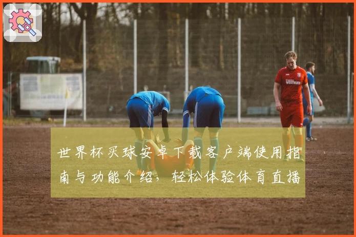 世界杯买球安卓下载客户端使用指南与功能介绍，轻松体验体育直播乐趣
