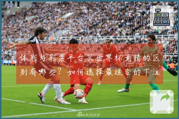 体彩与彩票平台买世界杯竞猜的区别有哪些？如何选择最适合的下注方式？
