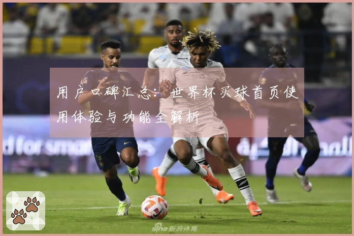 用户口碑汇总：世界杯买球首页使用体验与功能全解析