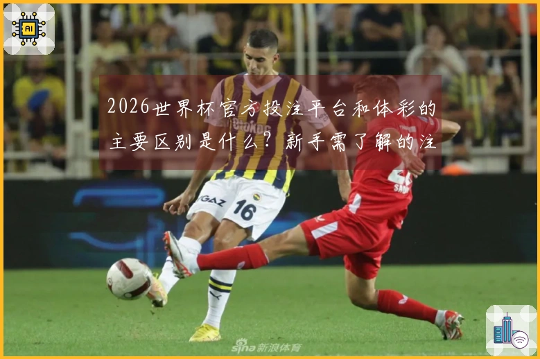 2026世界杯官方投注平台和体彩的主要区别是什么？新手需了解的注意事项
