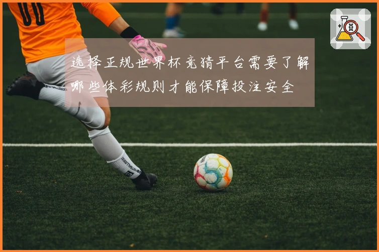 选择正规世界杯竞猜平台需要了解哪些体彩规则才能保障投注安全