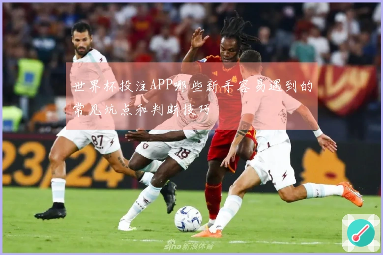 世界杯投注APP哪些新手容易遇到的常见坑点和判断技巧