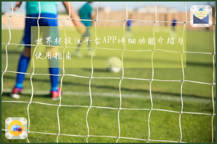 世界杯投注平台APP详细功能介绍与使用指南