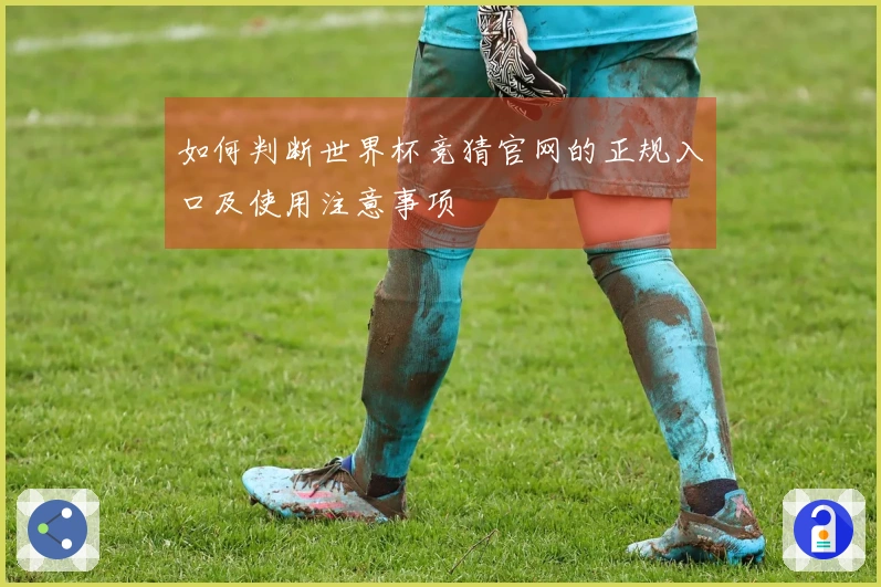 如何判断世界杯竞猜官网的正规入口及使用注意事项