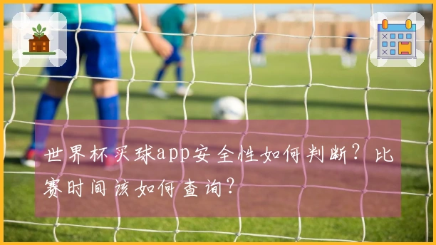 世界杯买球app安全性如何判断？比赛时间该如何查询？