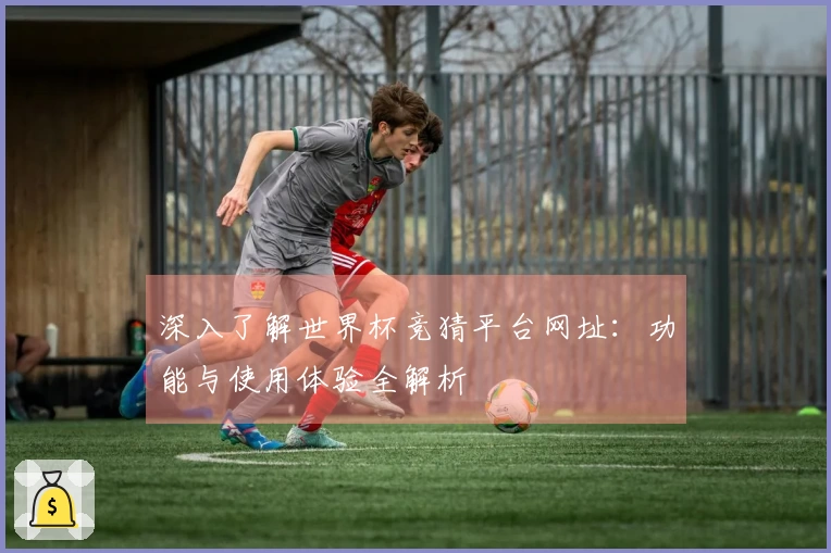 深入了解世界杯竞猜平台网址:功能与使用体验全解析