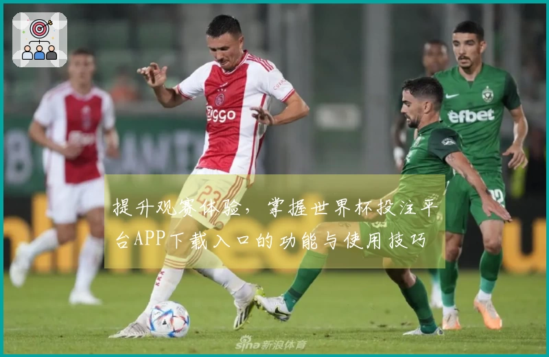 提升观赛体验，掌握世界杯投注平台APP下载入口的功能与使用技巧