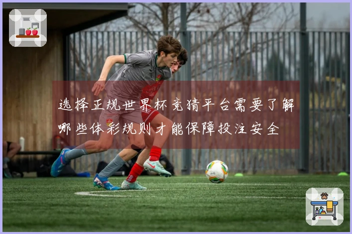 选择正规世界杯竞猜平台需要了解哪些体彩规则才能保障投注安全