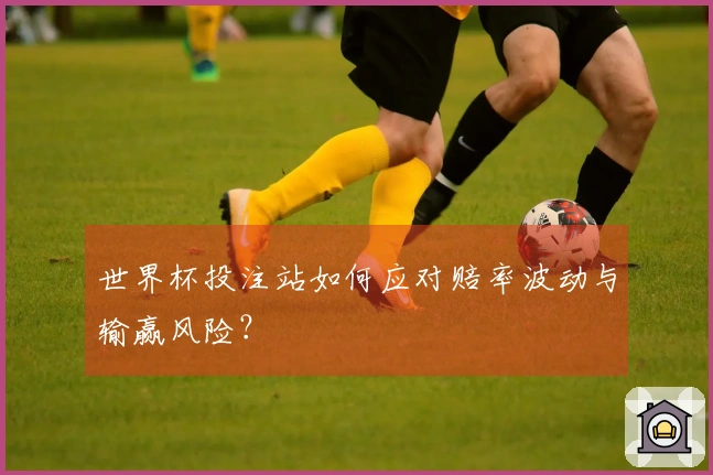 世界杯投注站如何应对赔率波动与输赢风险？