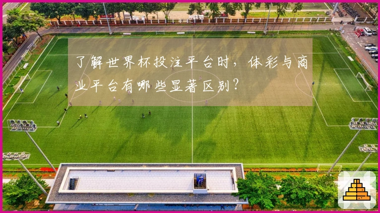 了解世界杯投注平台时，体彩与商业平台有哪些显著区别？