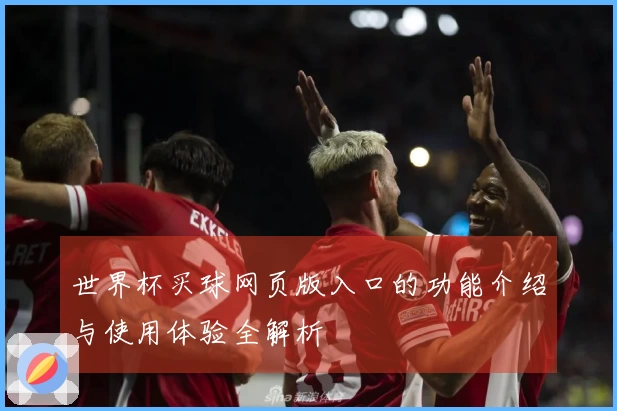 世界杯买球网页版入口的功能介绍与使用体验全解析