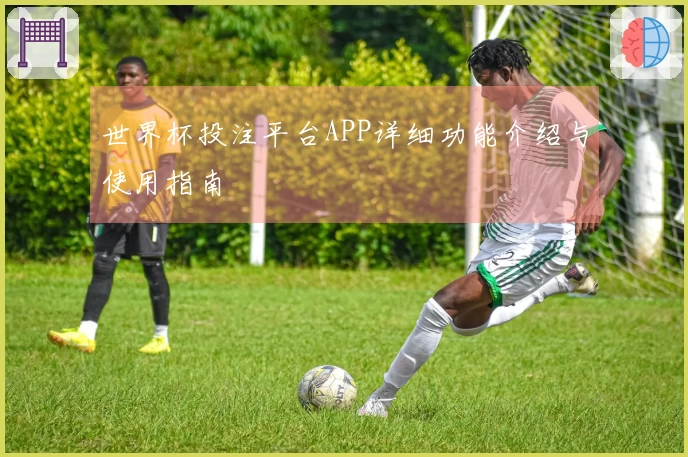 世界杯投注平台APP详细功能介绍与使用指南